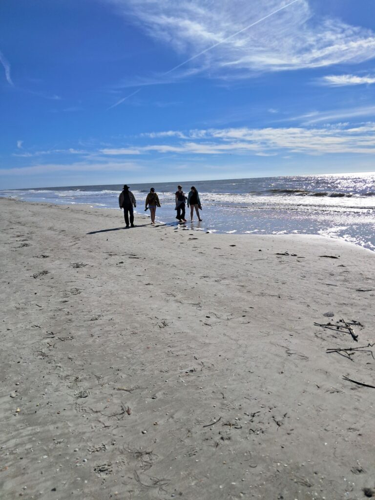 The Gulf of Mexico right outside the Sanctuary