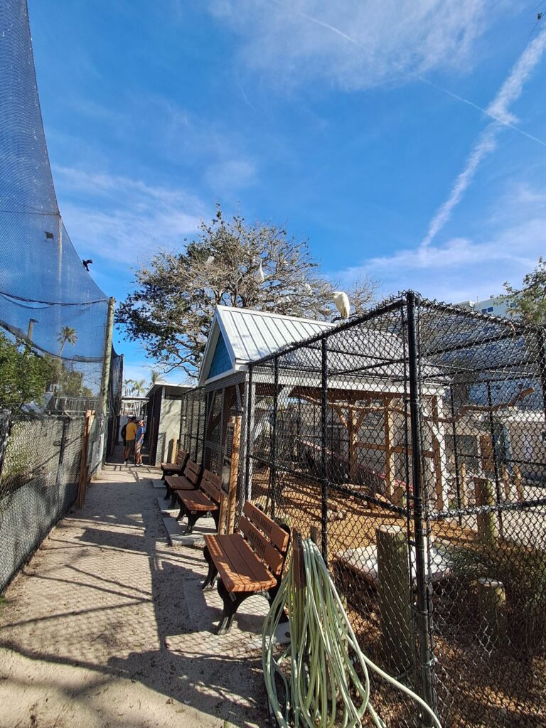 Rows of enclosures and aviaries house hundreds of injured birds